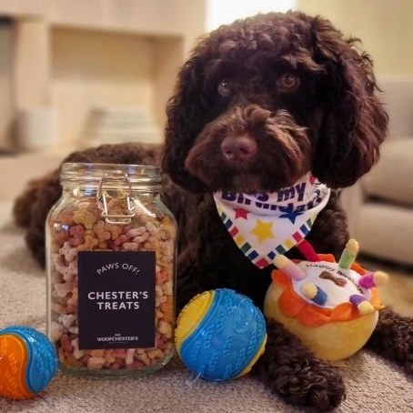 Personalised Kilner Jar & Dog Treats