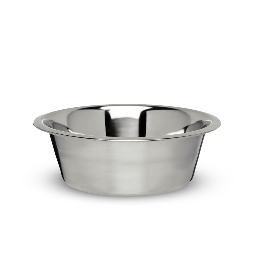 Dog drinking bowl